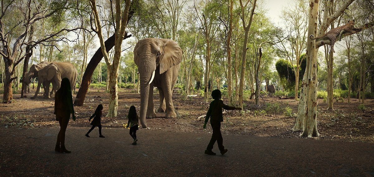 “Wild: A Safari Experience.” Cr: Illuminarium