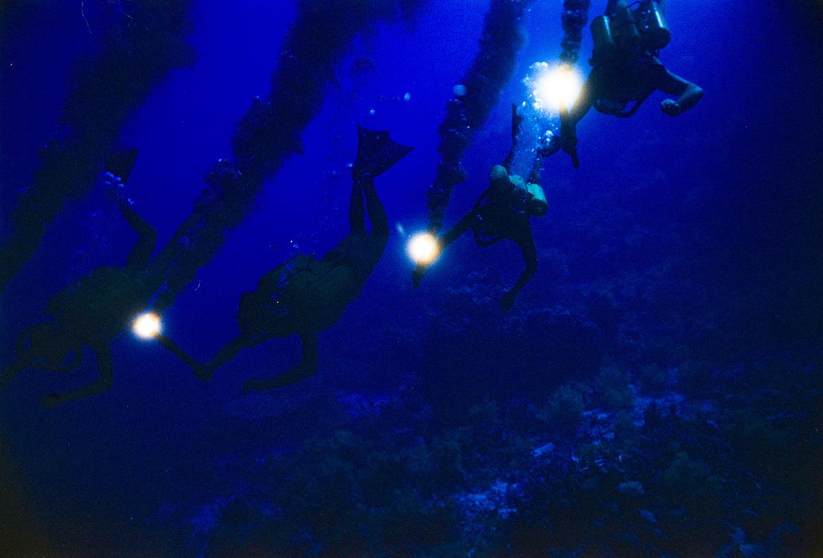 Calypso crew members dive in dark waters in director Liz Garbus’ “Becoming Cousteau.” Cr: National Geographic