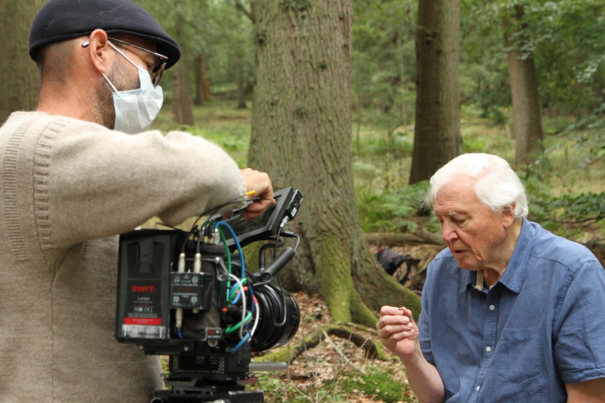 David Attenborough in the series “Life in Color with David Attenborough.” Cr: Netflix