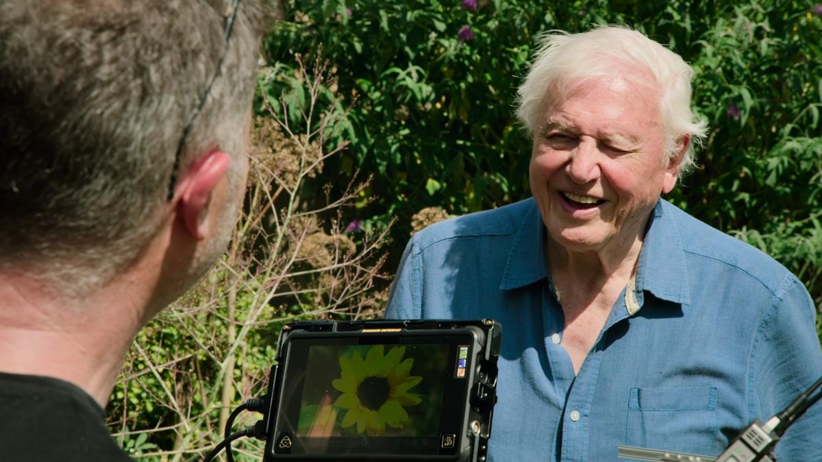 David Attenborough in the series “Life in Color with David Attenborough.” Cr: Netflix