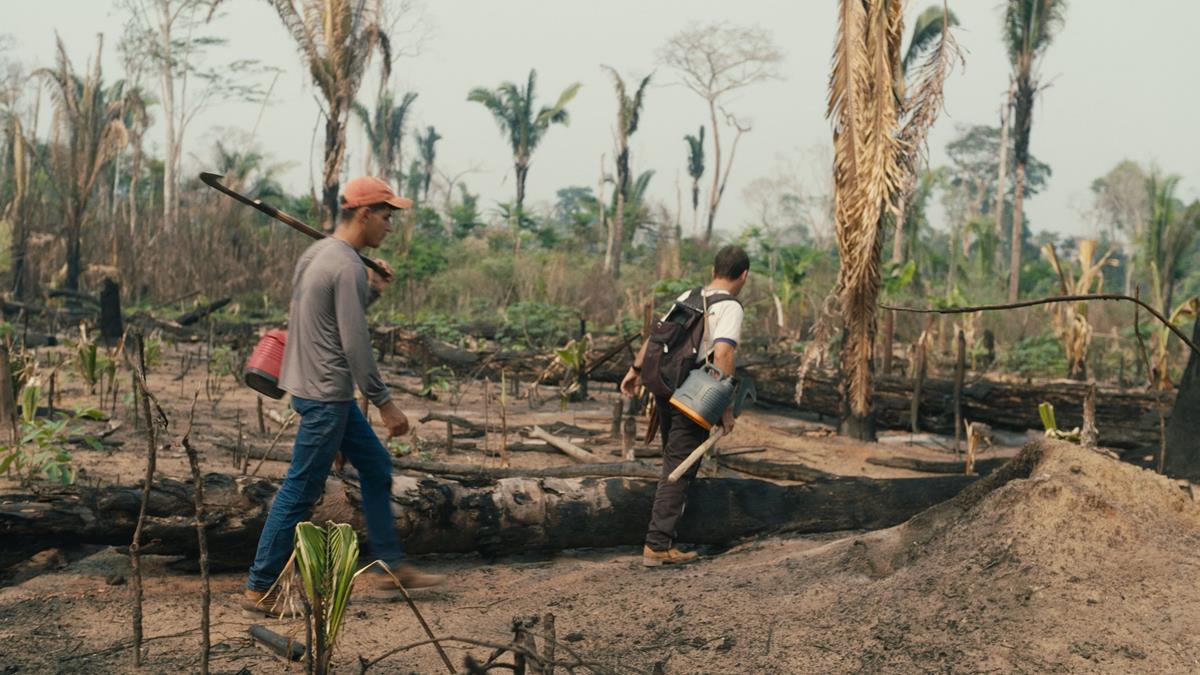 What was once forest is now a charred landscape, as settlers push into protected areas of the Amazon rainforest. Cr: Alex Pritz/Amazon Land Documentary